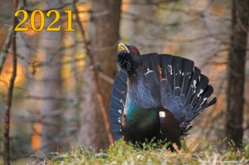KALENDER 2021